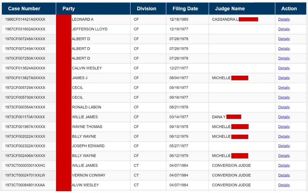 A screenshot displaying public search options results showing information such as case number, party name, division, filing date, judge name and a clickable option for details